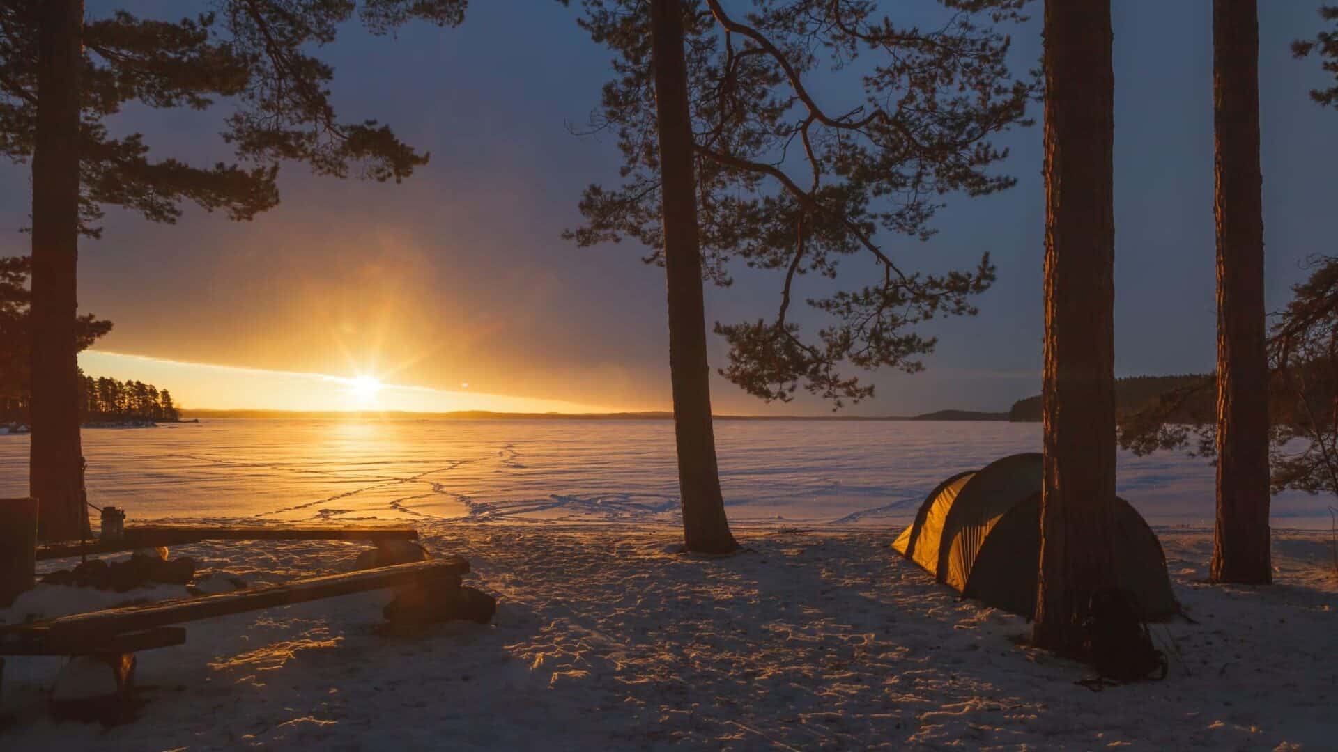Sunset on an icy lake. In the foreground of the picture is a tent and pine trees.