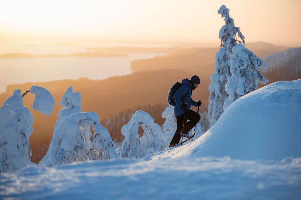Koli in winter time Visit Lakeland Finland