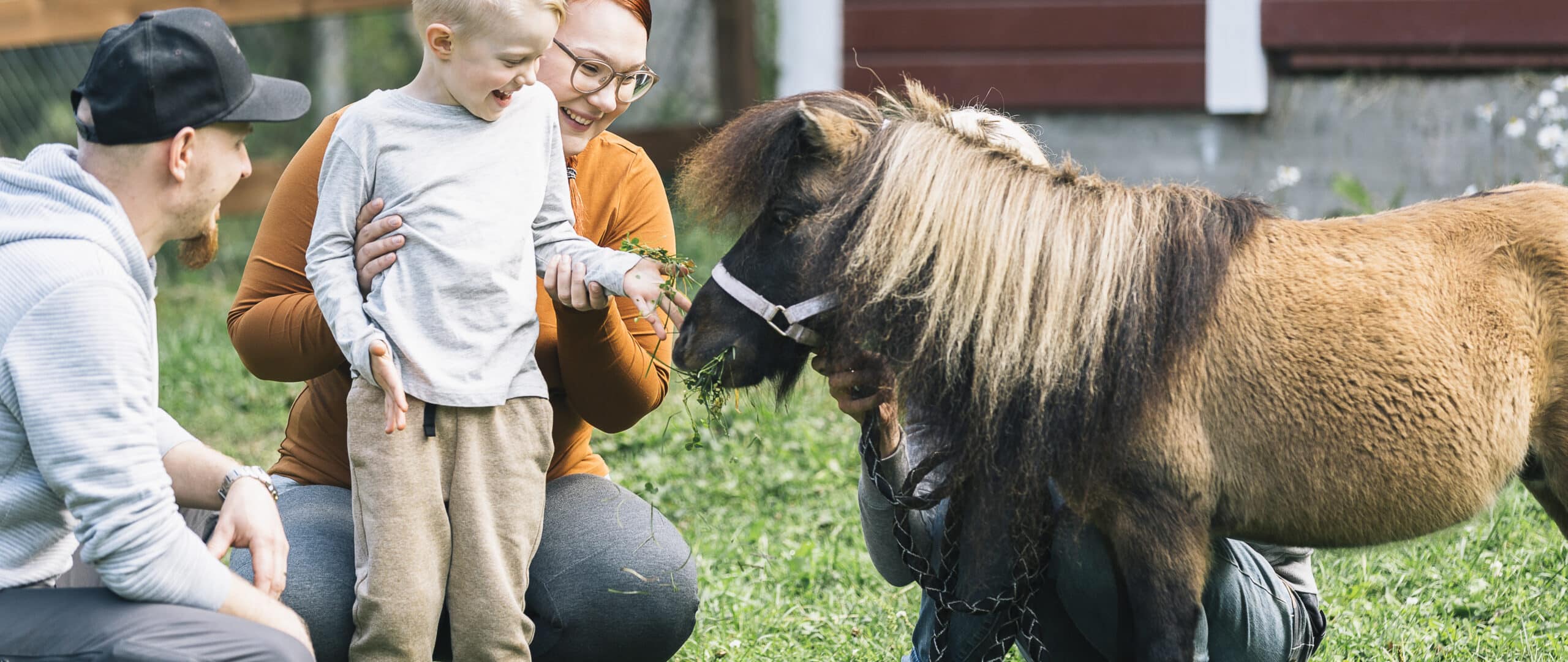 Child petting a small horse.