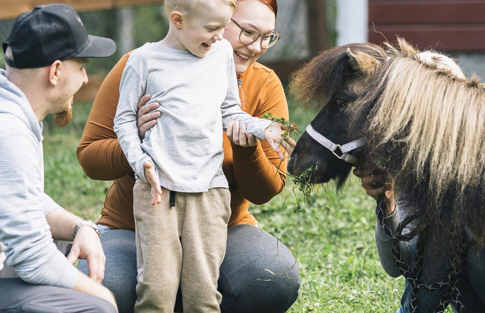 Child petting a small horse.