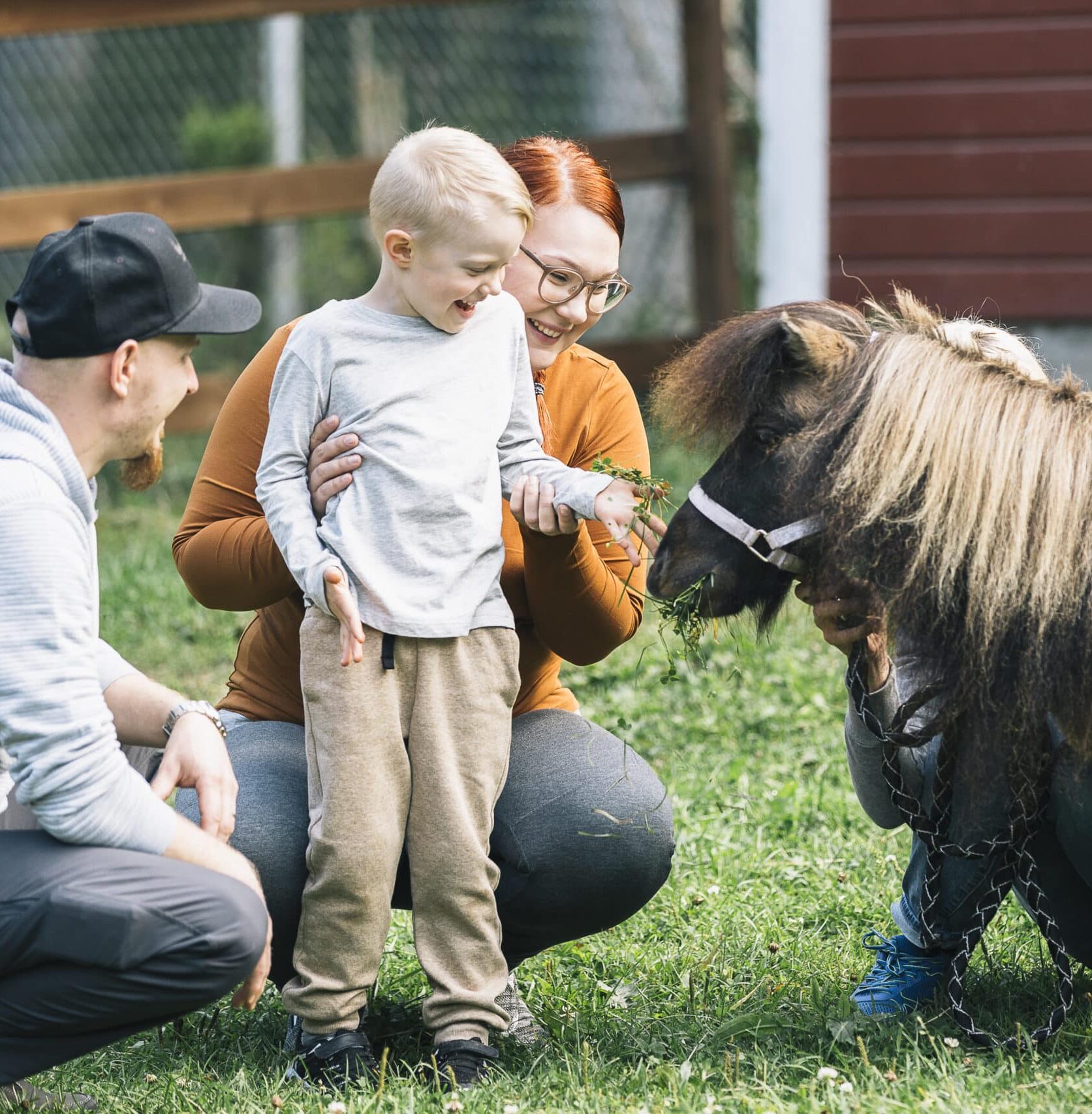 Child petting a small horse.