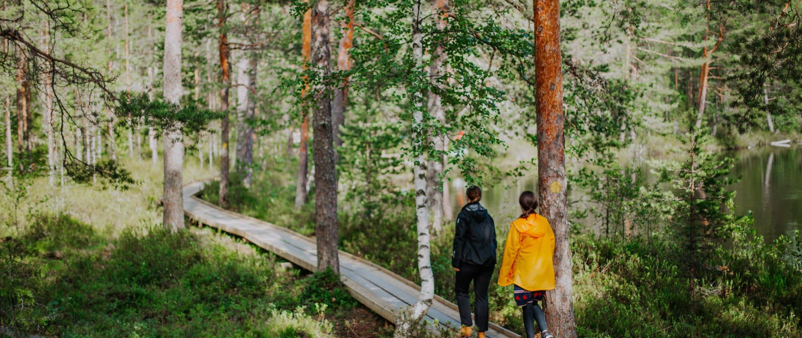 Two persons walking in nature on a wooden trail.