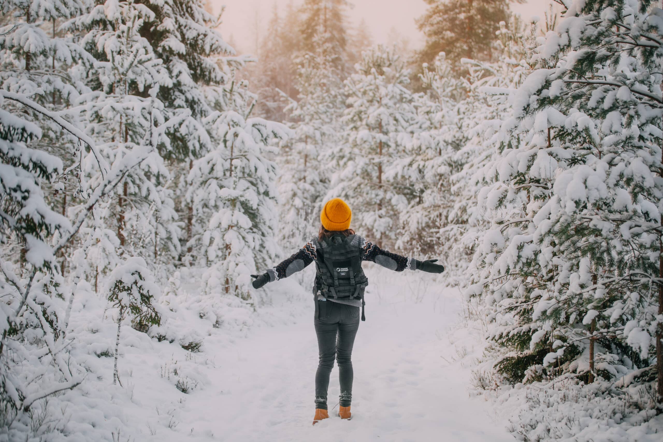 Person in a snowy forest.