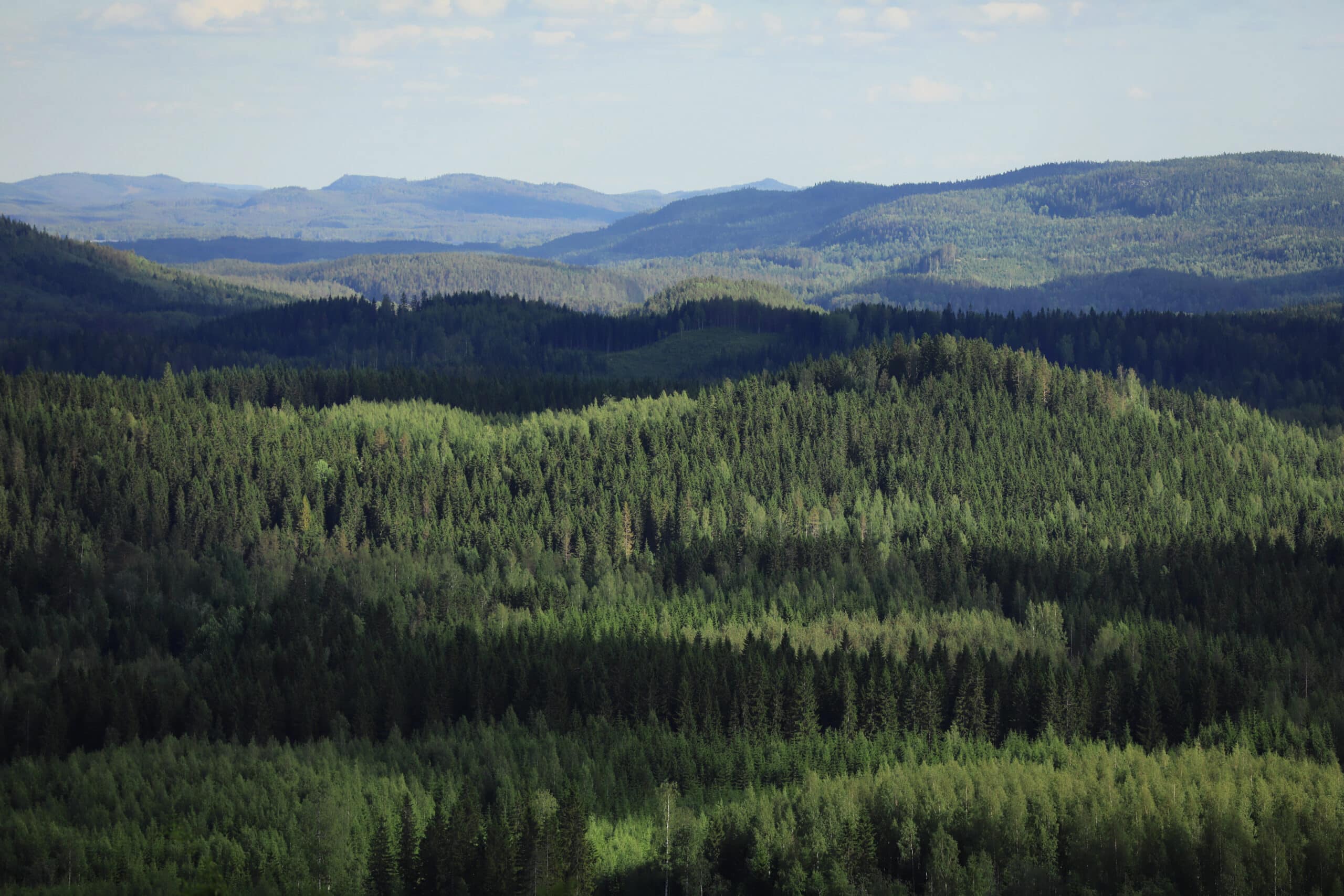 Foresview in Finland