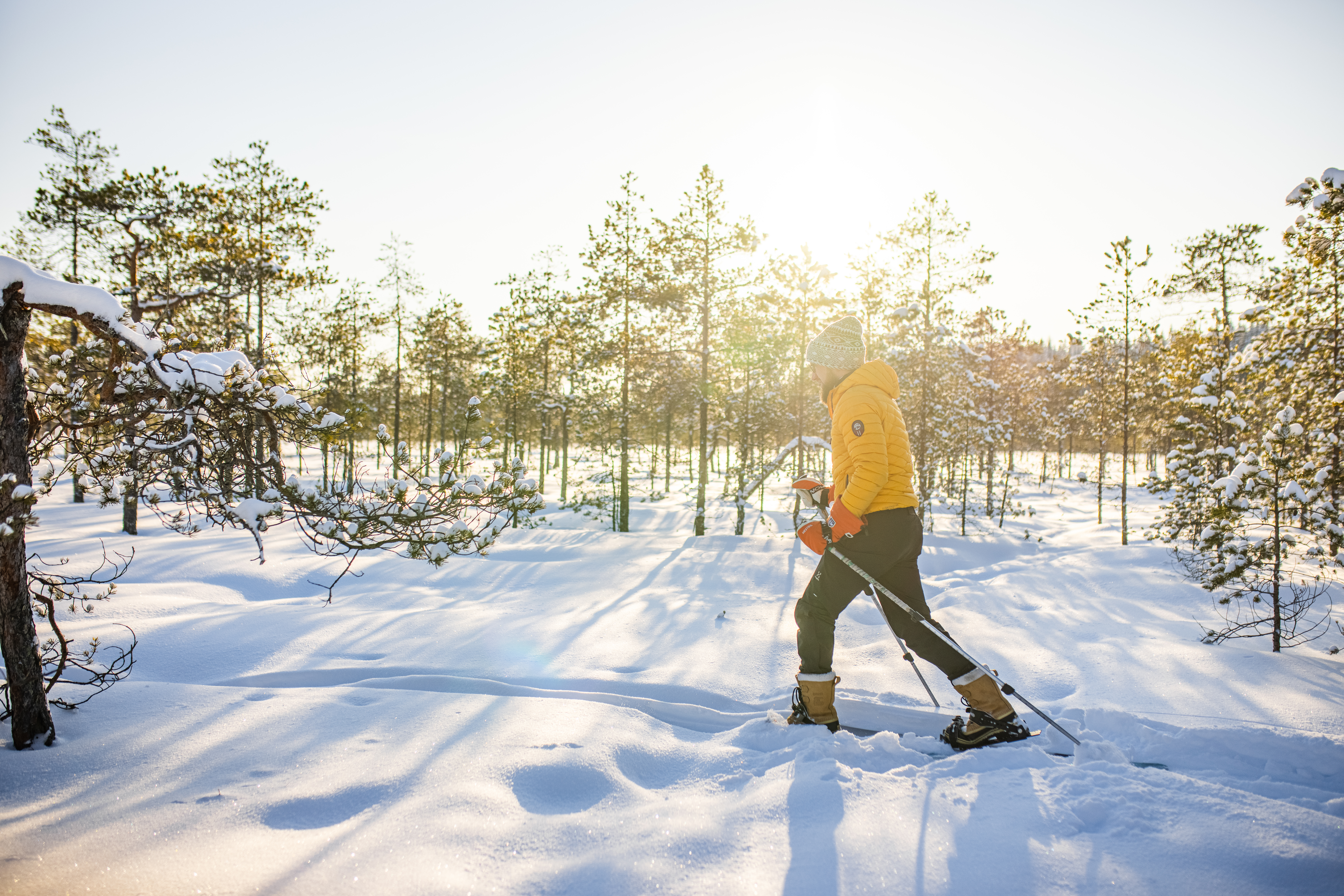 Person skiing in a snowy forest.
