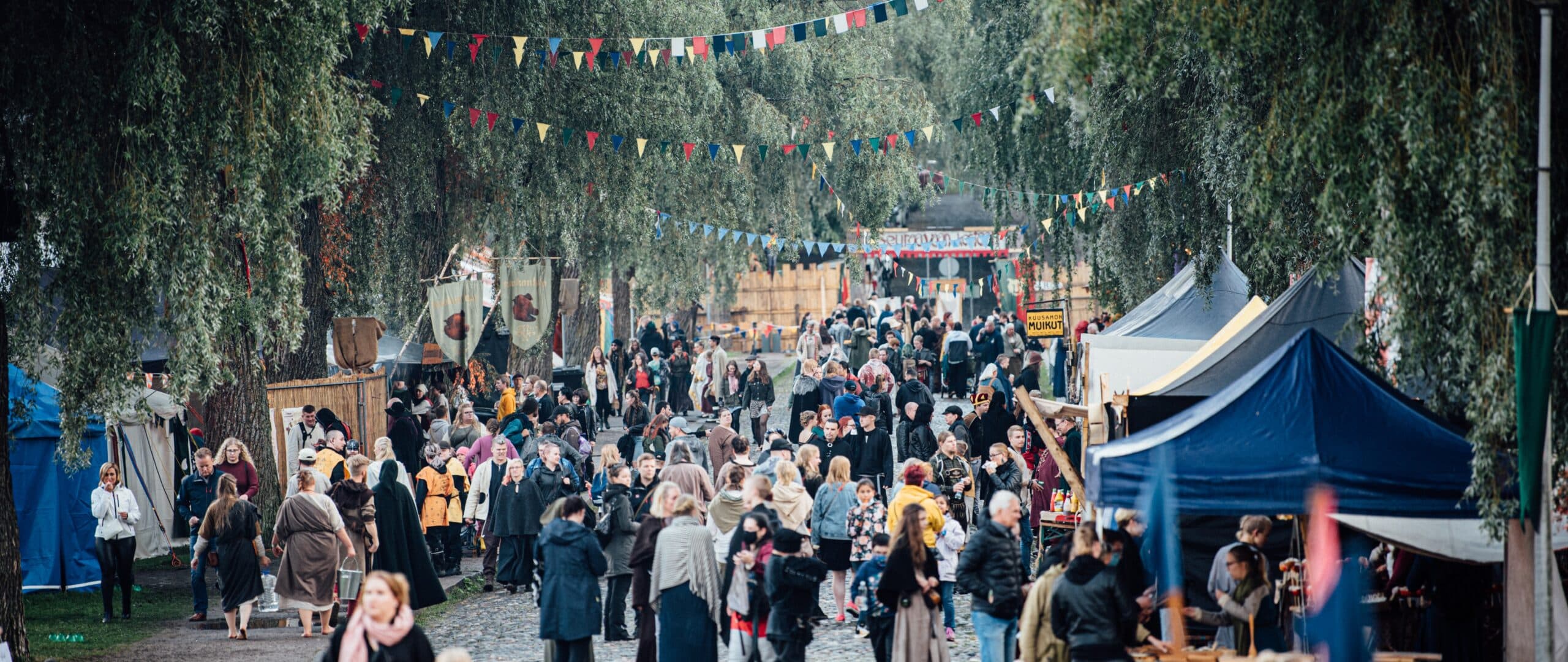 Crowd at the Häme Medieval Festival